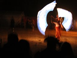 Seadogs 2015