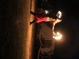 Seadogs 2016