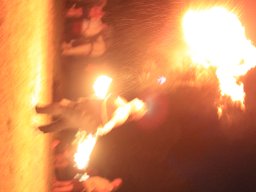 Seadogs 2016