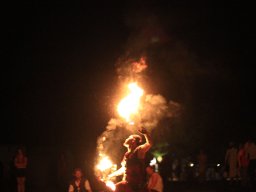 Seadogs 2016
