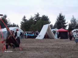 Tortuga 2014