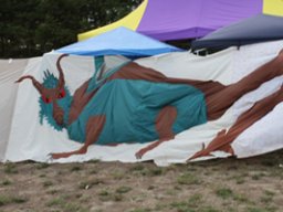 Tortuga 2015